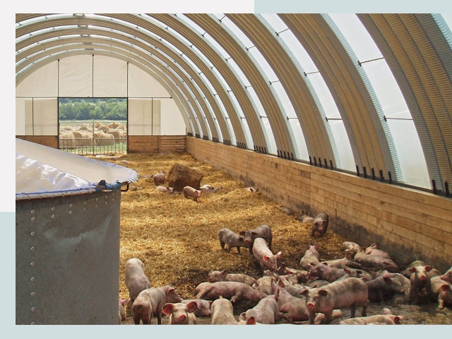 Строительство свинарников в Воркуте